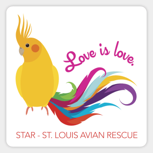 Rainbow Cockatiel - Love is Love Magnet